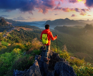 Tour and Travel