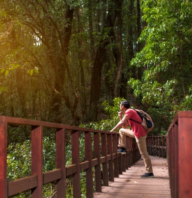 travel 1
